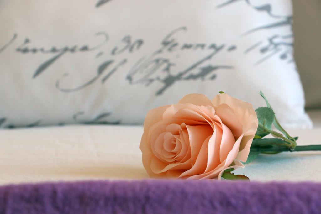 Blue Rose Apartment Trogir Bagian luar foto